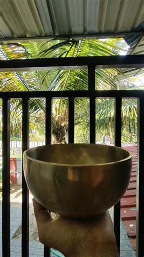 The science behind resonant frequency healing explained