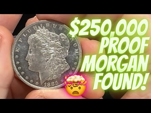 Rare Morgan Dollar Discovered! Only 12 known!