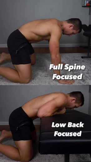 170K views · 3.2K reactions |  Low back focused movement.❌ The...