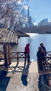 66K views · 10K reactions | Saturday stroll in Central Park 殺 #newyork #CentralPark #WinterinNYC #Manhattan | New York Story | Facebook