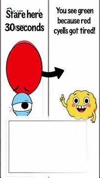 Why You See Green After Staring at Red 👀