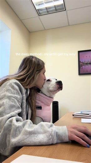 Whine, Cry, and Bark: The Daisy Method for Spoiled Dogs