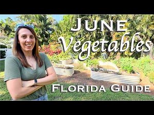 What to Plant in June in Florida | Vegetable Garden Guide