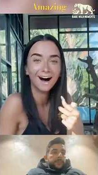 Funny Animal Clips from the Wild #shortvideo #animals #pets