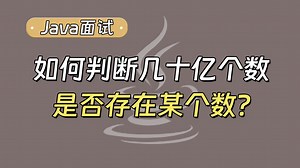 Java面试被问：如何判断几十亿个数中是否存在某个数？