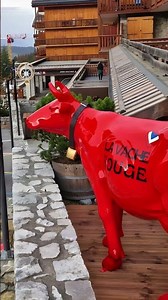 UNE VACHE ROUGE A MERIBEL