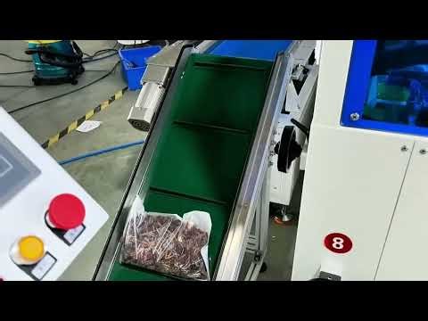 Count & Packing Machine | Tablet Counting machine | Counting filling and Packing Machine