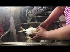 How to clean pompano fish?