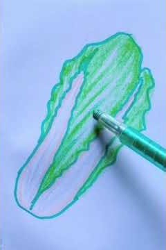 How to draw Romaine lettuce step-by-step // Easy lettuce drawing // #drawingtutorial #drawing #art