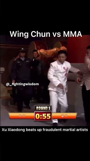 Wing Chun Vs MMA
