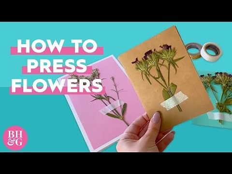 How to Make Pressed Flowers and Preserve Your Favorite Blooms | Project Joy | Better Homes & Gardens