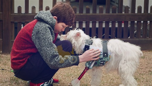 44 reactions · 10 comments | Did you know? Season 4 of The Wizard of Paws was nominated for one of the Critics Choice Awards!  Stream the nominated season - and all other seasons - on the free BYUtv app!  #WizardofPaws #BYUtv | BYUtv | Facebook