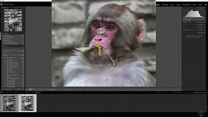 Lightroom Settings All Photographers Should Know About