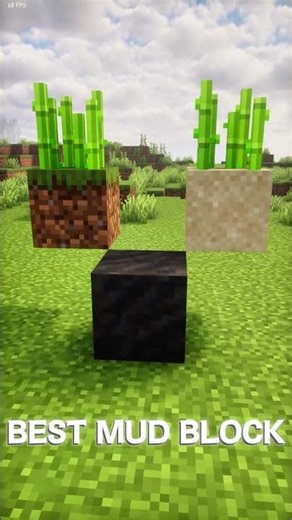 "Minecraft’s Best Sugar Cane Growing Block 🤯"
