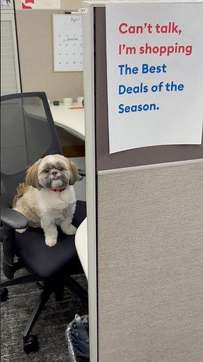 Greg is booked and busy 🛍️ The Best Deals of the Season start today!