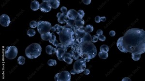 Raw juicy blueberries exploding and flying in super slow motion. Blueberry drops after explosion. High speed isolated footage with alpha channel