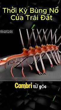 Thời Kỳ Bùng Nổ Của Trái Đất