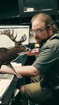 How to Buy a Kentucky Hunting or Fishing License Online (Without Losing Your Mind)