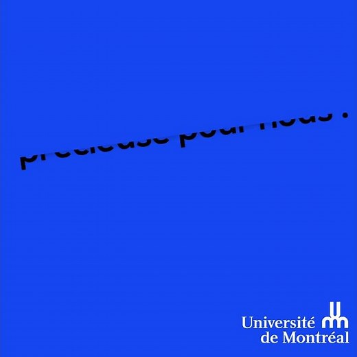 Comment téléverser une lettre de recommandation