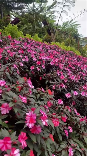 hazel18 (@hazel.163)’s videos with original sound - madi.kruto