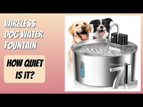 REVIEW (2025): Wireless Dog Water Fountain. Features