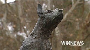 9.6K views · 87 reactions | The dog on the tuckerbox has sat five miles outside Gundagai for nearly 90 years and is one of Australia's most iconic landmarks, but a former councillor is calling for it to be moved into town, in the hope of bringing more tourists off the highway. | WIN News Riverina | Facebook