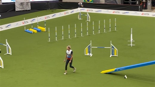 4.7K views · 104 reactions | Individual Agility Large Sally Connell & Kit | AKC USA Agility World Team | Facebook