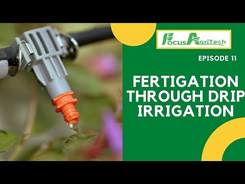 Fertigation through drip irrigation || Episode 11, 2021