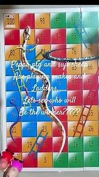 peppa and suji sheep are playing snakes and ladders let's see who will be the winner??