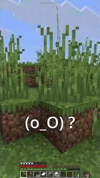 Mod: A Breach Happened #minecraft