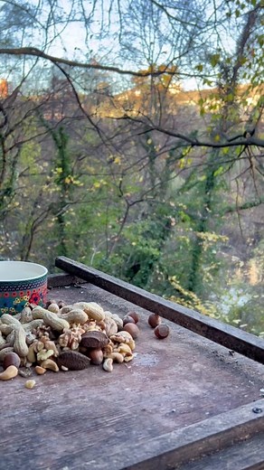 Delicious Hidden Steak Bites for Breakfast Recipes