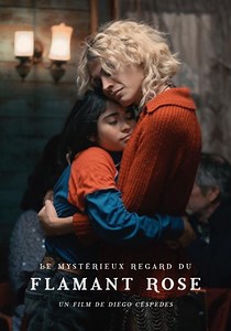 Le Mystérieux regard du flamant rose en streaming