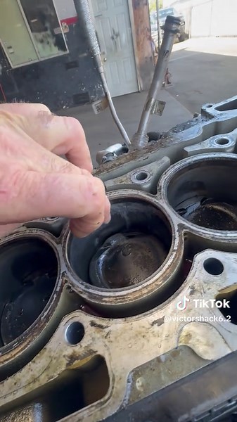 Shack's Comeback Journey After Deletion