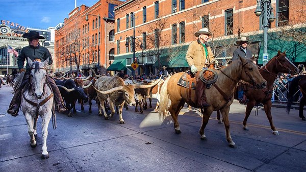 WATCH: National Western Stock Show parade marches through Denver