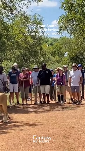 🦁 CASUAL WALKS HIT DIFFERENT IN SOUTH AFRICA! Suddenly you’re strolling beside one of the most incredible animals on Earth 😉 This is the kind of once-in-a-lifetime moment our guests experience on the South Africa RV Safari, where every day feels like a documentary come to life. 🦓 Our expertly guided safari drives will bring you face-to-face with the Big 5 in their natural habitat, while the awe-inspiring Victoria Falls will leave you breathless. 👉 SIGN UP TODAY! You know you want to… Fantasy