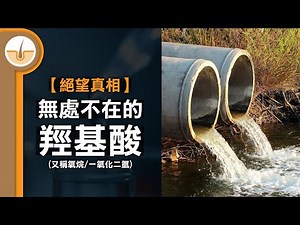 【真相】極度危險但已無處不在的化學物質 #曲 (繁中字幕)