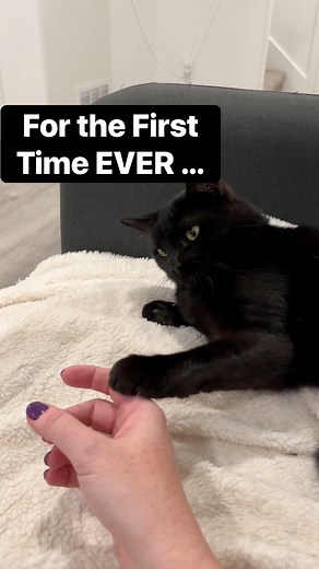 For the first time ever … | Baby and Blue