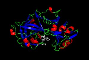 ペプシンとトリプシンの違い - ニュース 2026