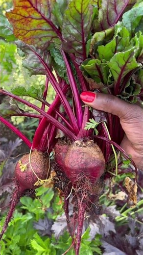 Progress is better than not starting at all.