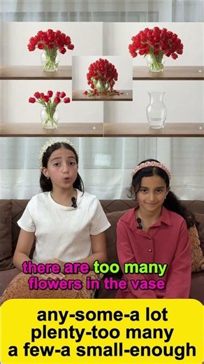 How to Use Quantifiers (Some, Any, Lot, Few, Enough)