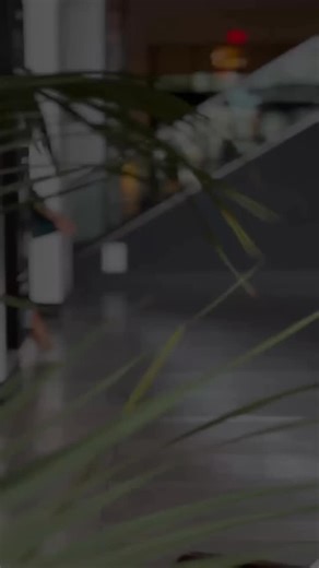 ✨ Credit repair is the first step to financial freedom✨ Stop letting past mistakes hold you back from your future goals. Whether you’re dreaming of homeownership, a new car, or building generational wealth, it all starts with your credit. Let’s take that first step together 💪🏾 📲 Text “CREDIT” to 727-537-9293 get started today! #CreditRestoration #FinancialFreedom #CreditRepair #ElegantConsultingServices | Elegant Credit Restoration