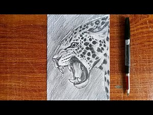 How to Draw a Cheetah | Step by Step Easy Tutorial