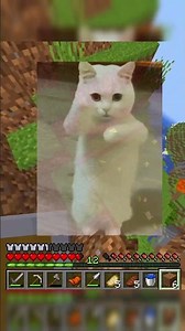 LO HICIMOS I Clips Graciosos en Minecraft con Amigos