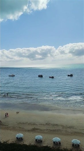 Maragogi, Brazil 🇧🇷🌴 is one of those places that makes you understand why Brazil