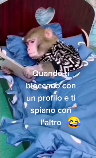 Funny Monkey Playing with Tablet in Cozy Bedroom Setting