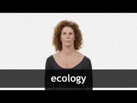 How to pronounce ECOLOGY in American English