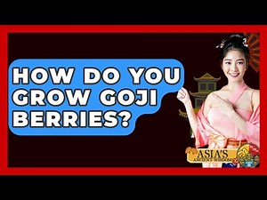 How Do You Grow Goji Berries? - Asia's Ancient Wisdom