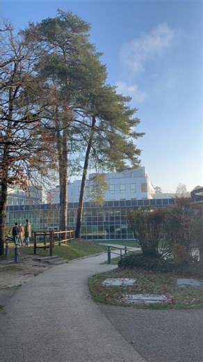 4.2K views · 19 reactions | INSEAD on Reels | Facebook