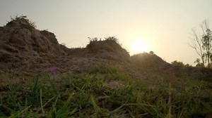 Young Man Runner Running Healthyrunning Exerciserunning Stock Footage Video (100% Royalty-free) 1045111093 | Shutterstock