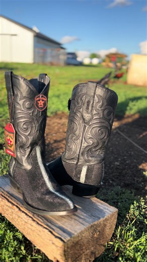 Los Altos Black Stingray Cowboy Boots